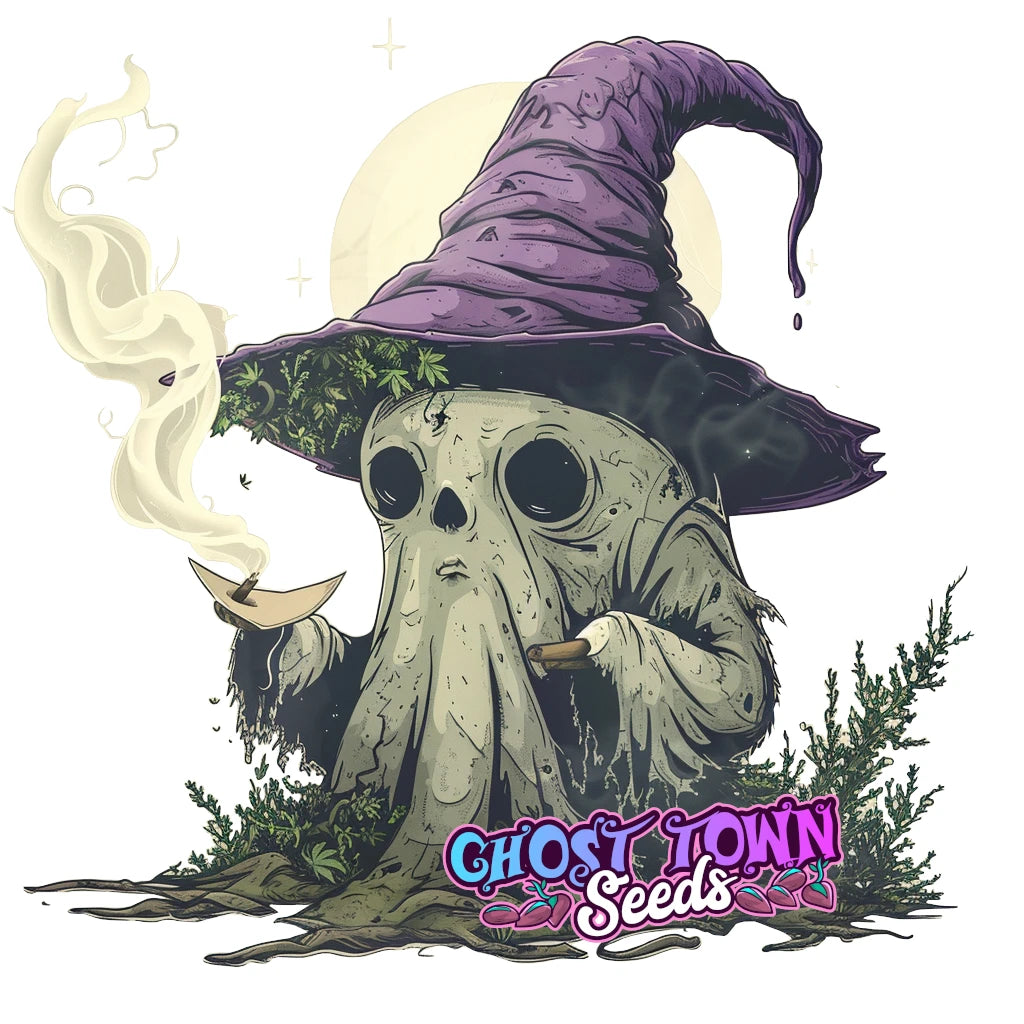 Paperit - Ghost Town Seeds