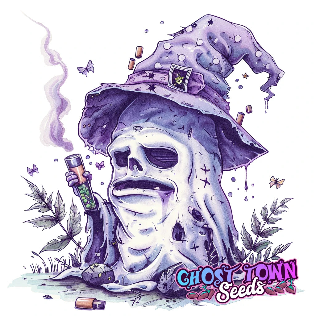 Käärekotelot - Ghost Town Seeds