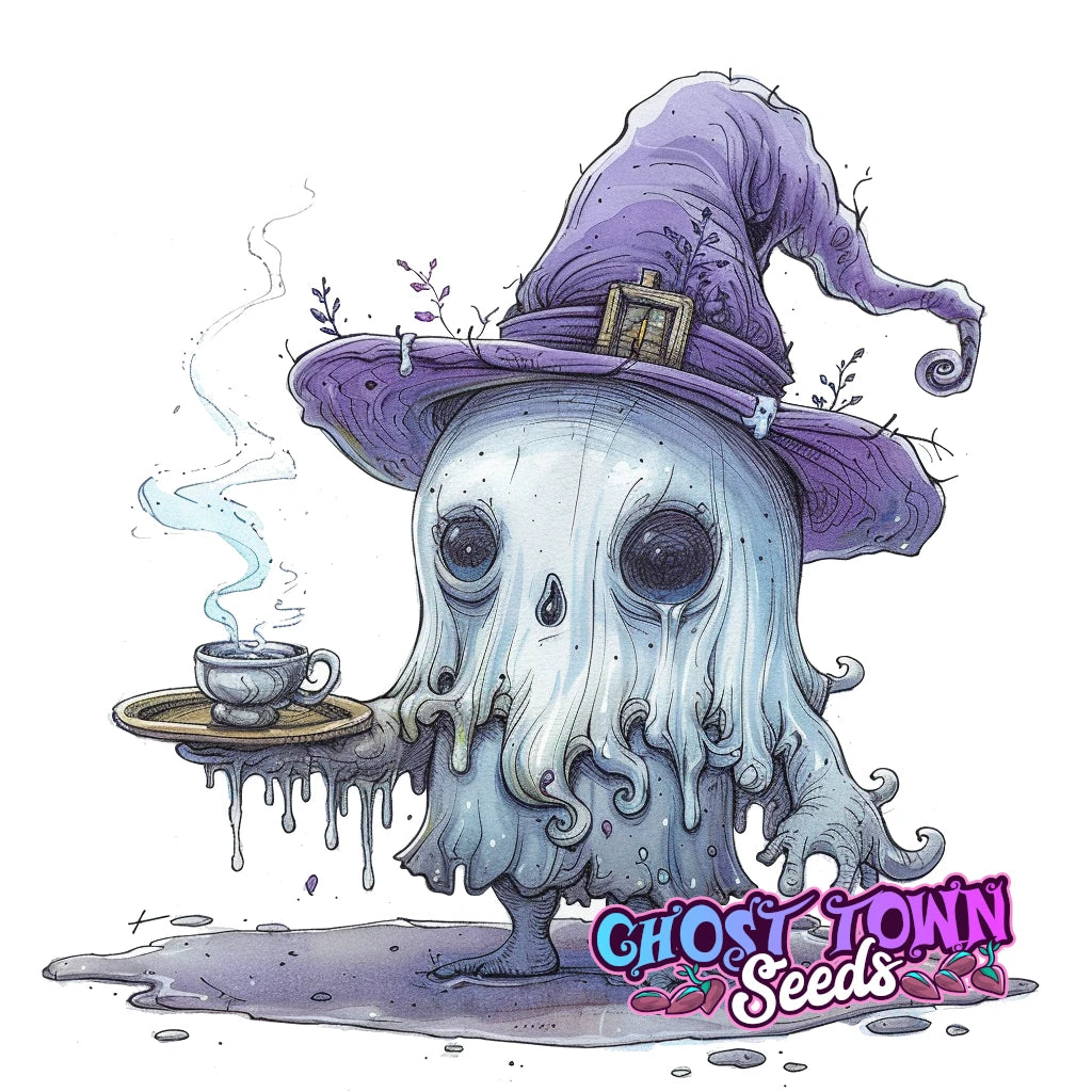 Käärimisalustat - Ghost Town Seeds
