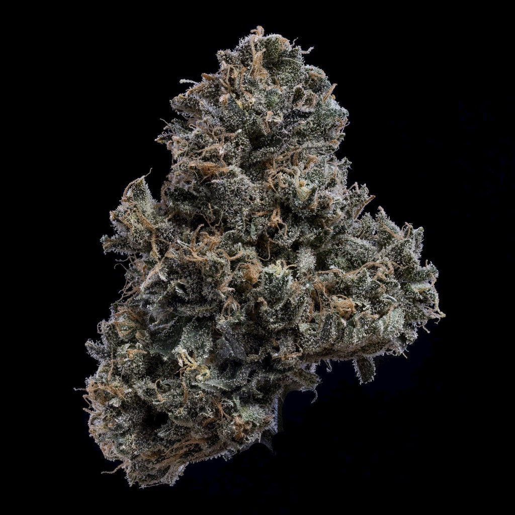 3 Bears OG