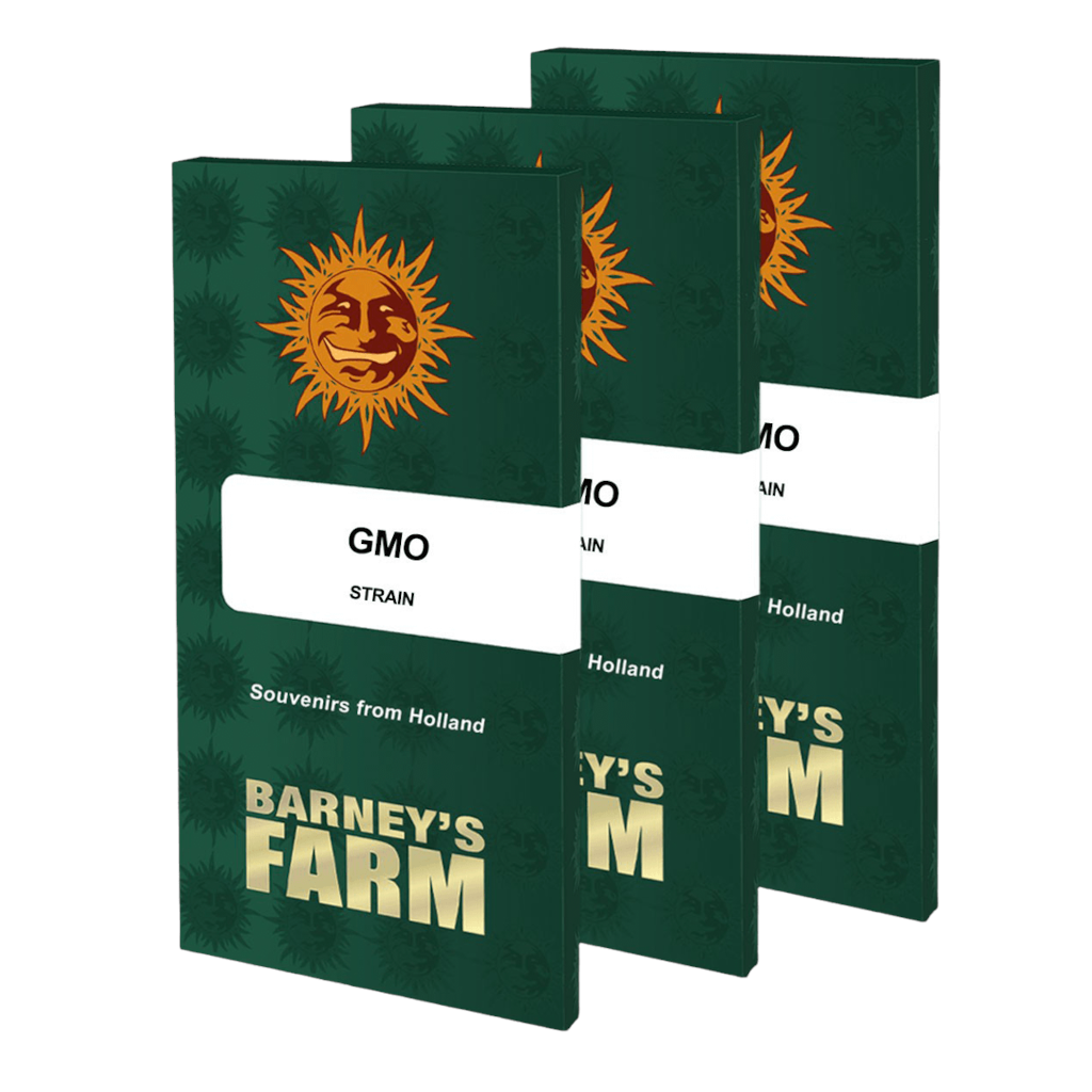 GMO Fotoperiodi