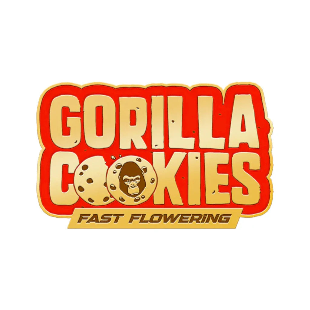 Gorilla Cookies Fast Flowering 10 Fotoperiodi