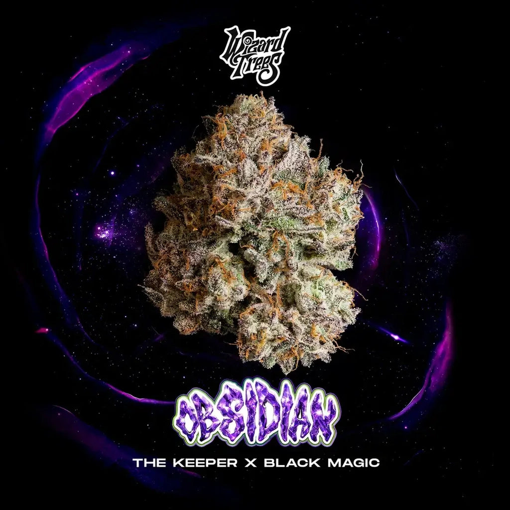 Wizard Trees Genetics cannabis seeds collection – Ghost Town Seeds