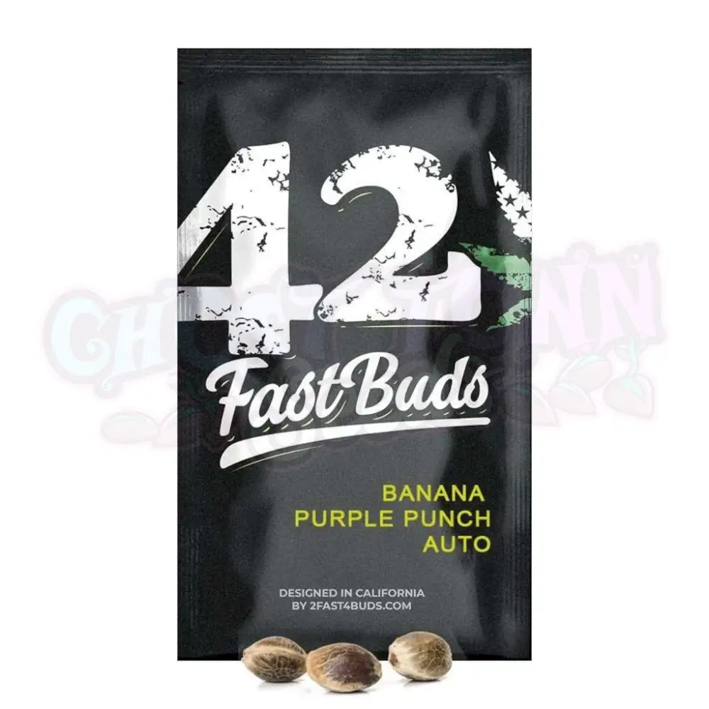 Banana Purple Punch Auto Autoflower