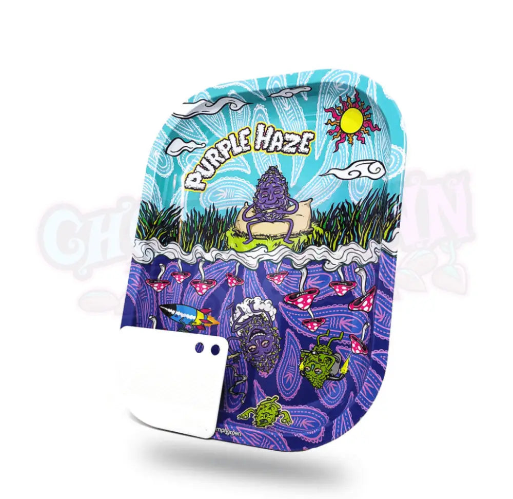 Best Buds - Pieni Purple Haze Tarjotin - Ghost Town Seeds