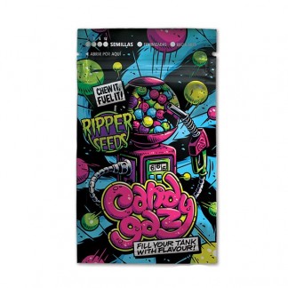 CandyGaz 5 Fotoperiodi