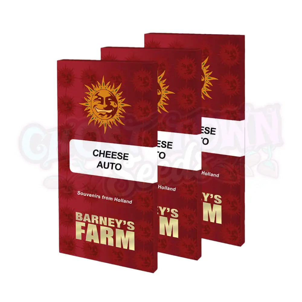 Cheese Auto Kannabiksen Siemenet - Barneys Farm