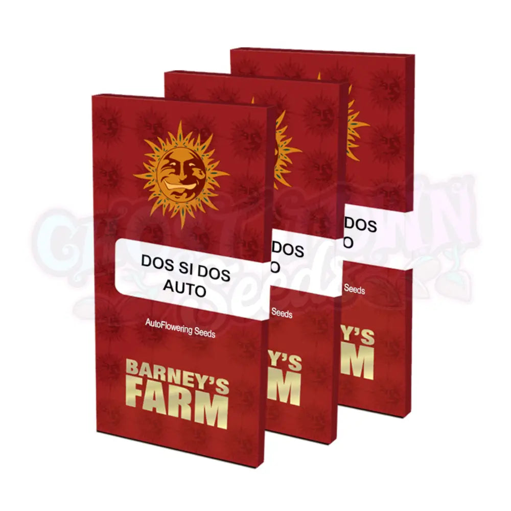 Dos Si Dos 33 Auto Kannabiksen Siemenet - Barneys Farm