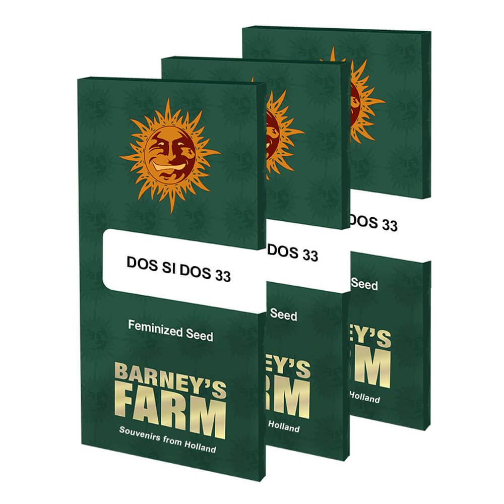 Dos Si Dos 33 Kannabiksen Siemenet - Barneys Farm