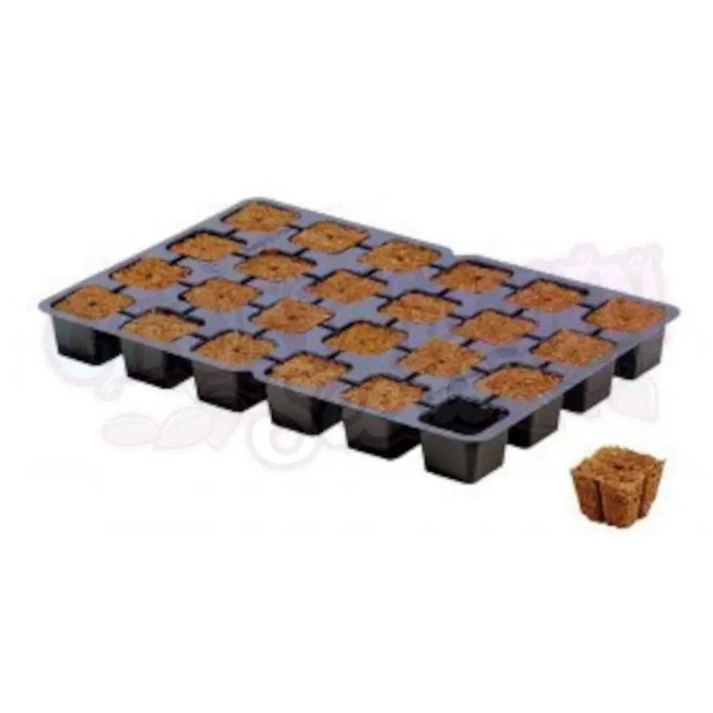 Eazy Plug 24 kuution alusta