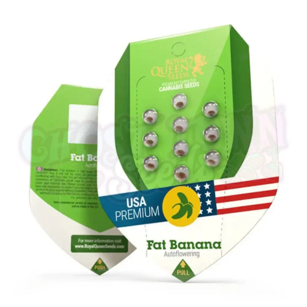 Fat Banana Auto Kannabiksen Siemenet - Royal Queen Seeds