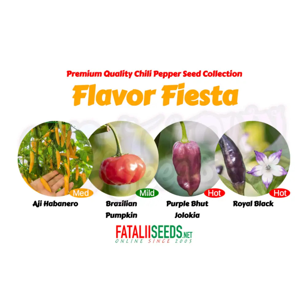 Fatalii - Flavor Fiesta Neljän Lajikkeen Kokoelma chilit