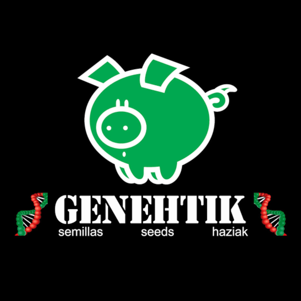 Txomango