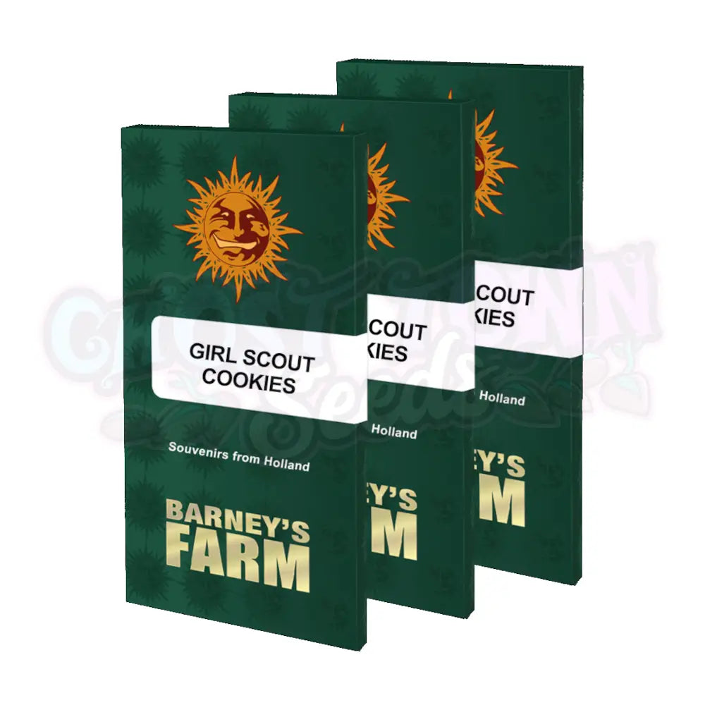 Girl Scout Cookies Kannabiksen Siemenet - Barneys Farm