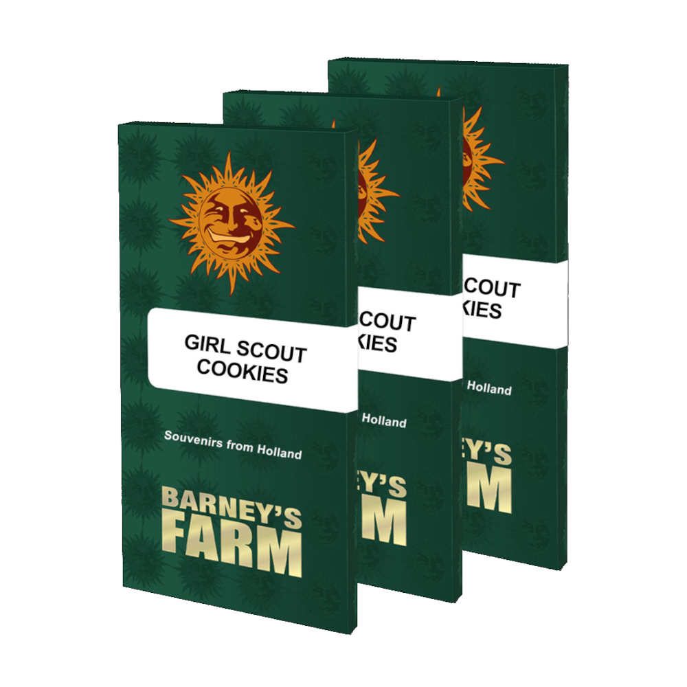 Girl Scout Cookies Kannabiksen Siemenet - Barneys Farm