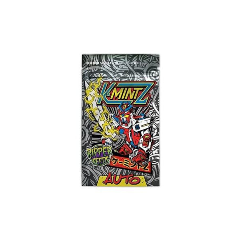 Kmintz Auto