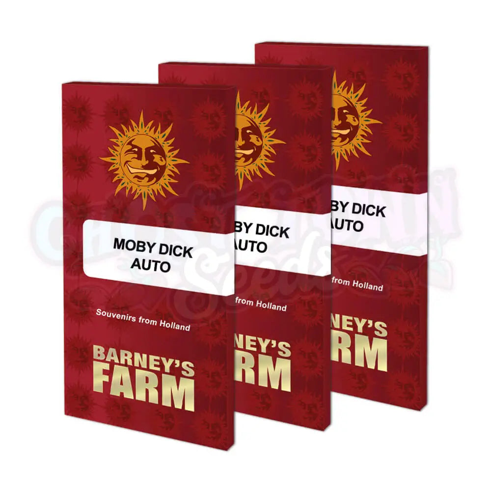 Moby Dick Auto Kannabiksen Siemenet - Barneys Farm