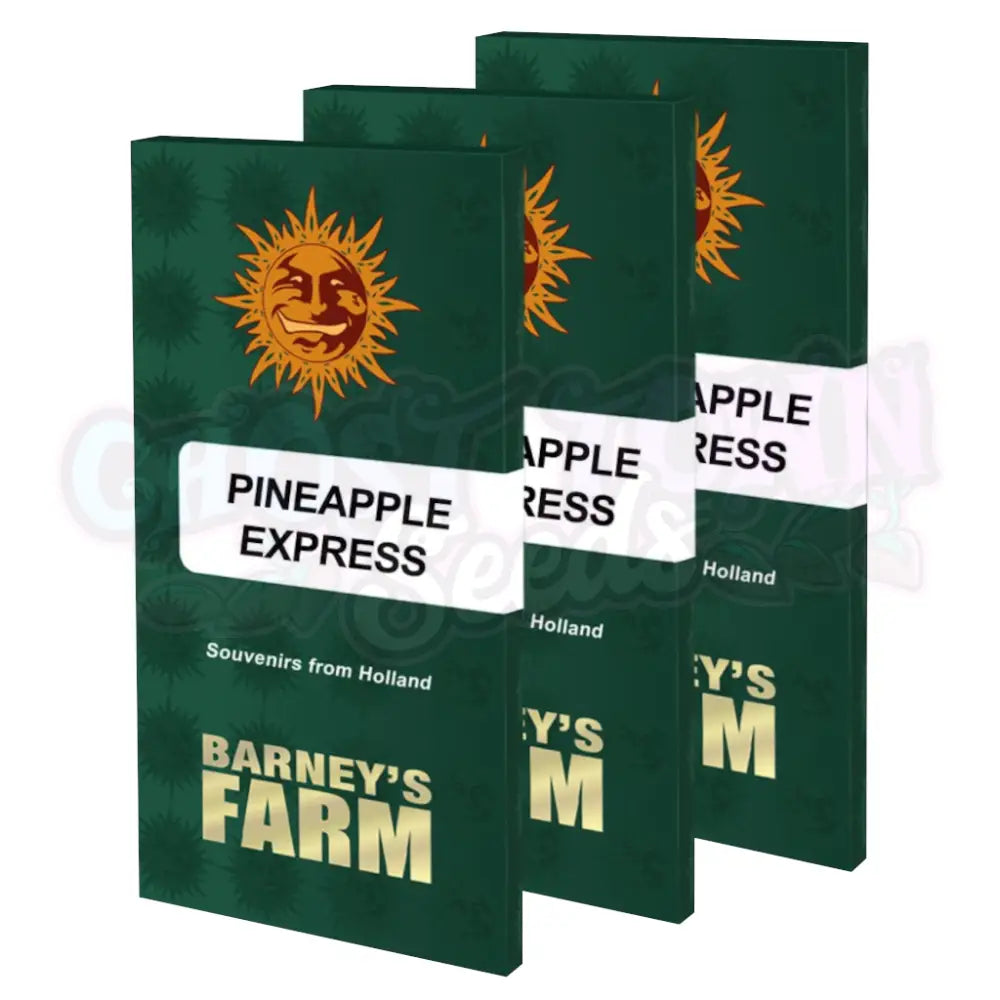 Pineapple Express Fotoperiodi