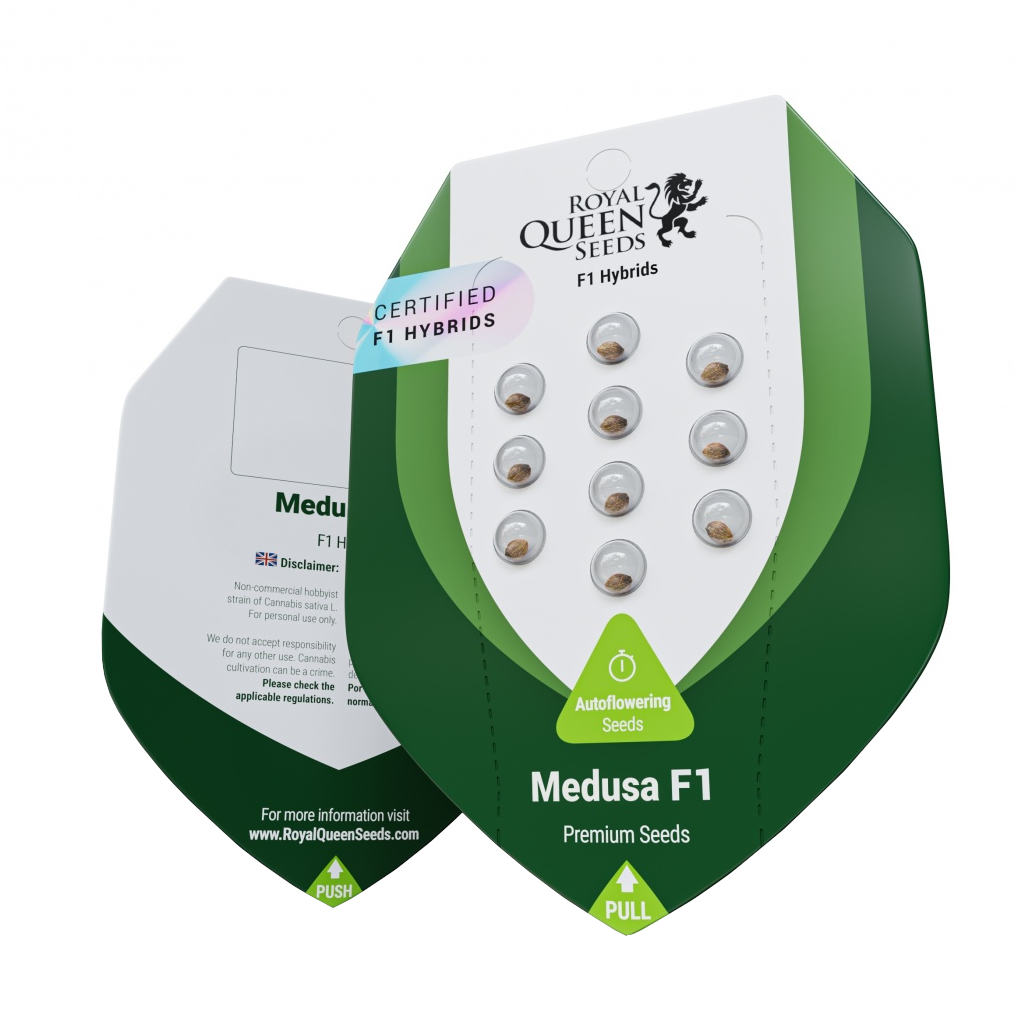 Medusa F1 Autoflower