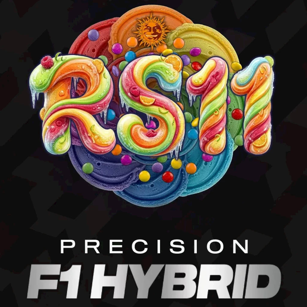 RS11 F1 - Hybridi