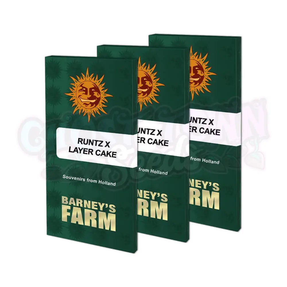 Runtz x Layer Cake Kannabiksen Siemenet - Barneys Farm