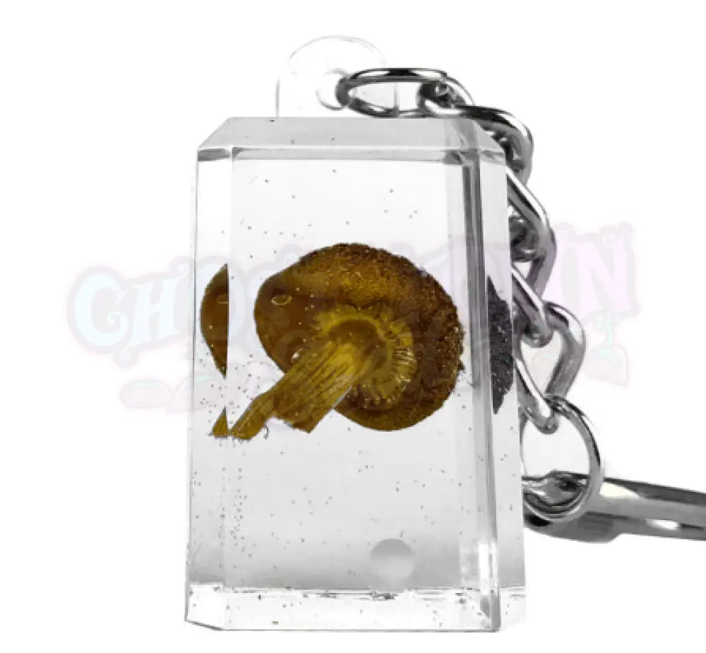 Sieni Avaimenperä - Ghost Town Seeds