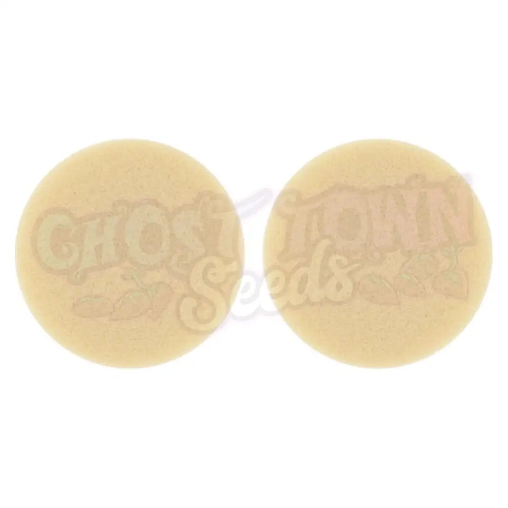 Storz & Bickel - Volcano Classic Ilmansuodatinsetti (2 kpl) Vaporisaattori Varaosat ja Tarvikkeet