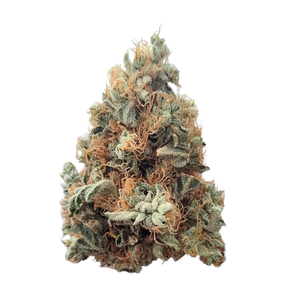 Strain Station Wizard Haze 1 CBD Kukka