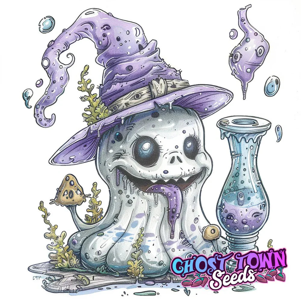 Yli 40cm bongit - Ghost Town Seeds