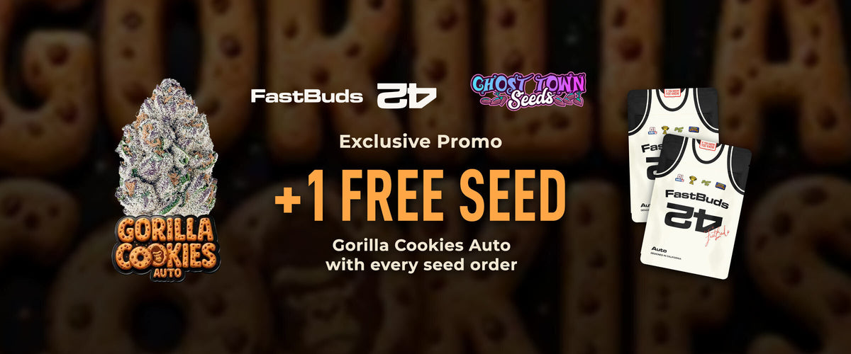 FastBuds 42 x Ghost Town Seeds: +1 free Gorilla Cookies Auto seed with every seed order