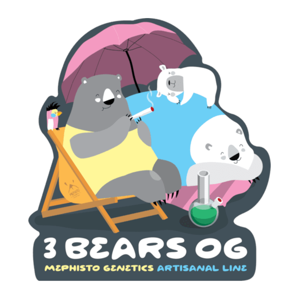 3 Bears OG