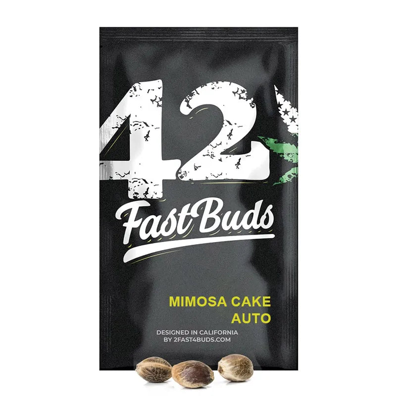 Mimosa Cake Auto Autoflower