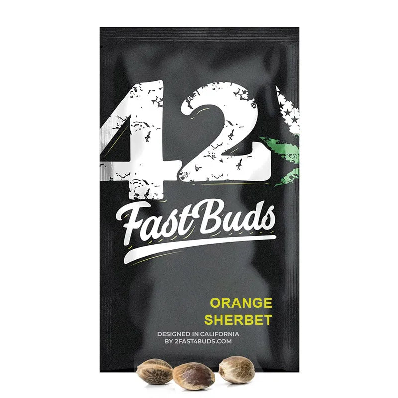 Orange Sherbet Auto Autoflower