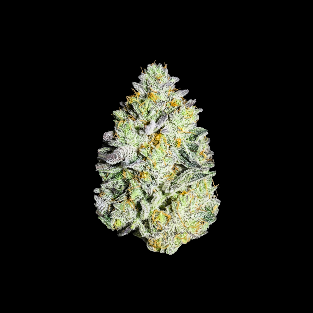 Watermelon Mint Auto