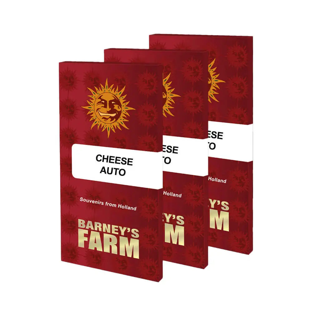 Cheese Auto Kannabiksen Siemenet - Barneys Farm