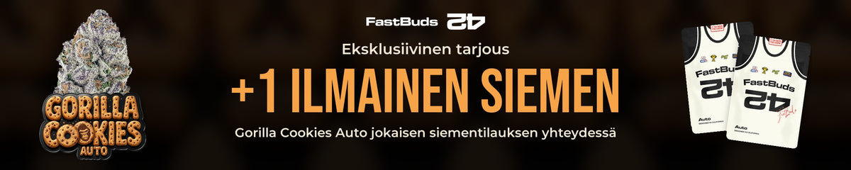 FastBuds 42: +1 ilmainen Gorilla Cookies Auto -siemen jokaisen siementilauksen yhteydessä