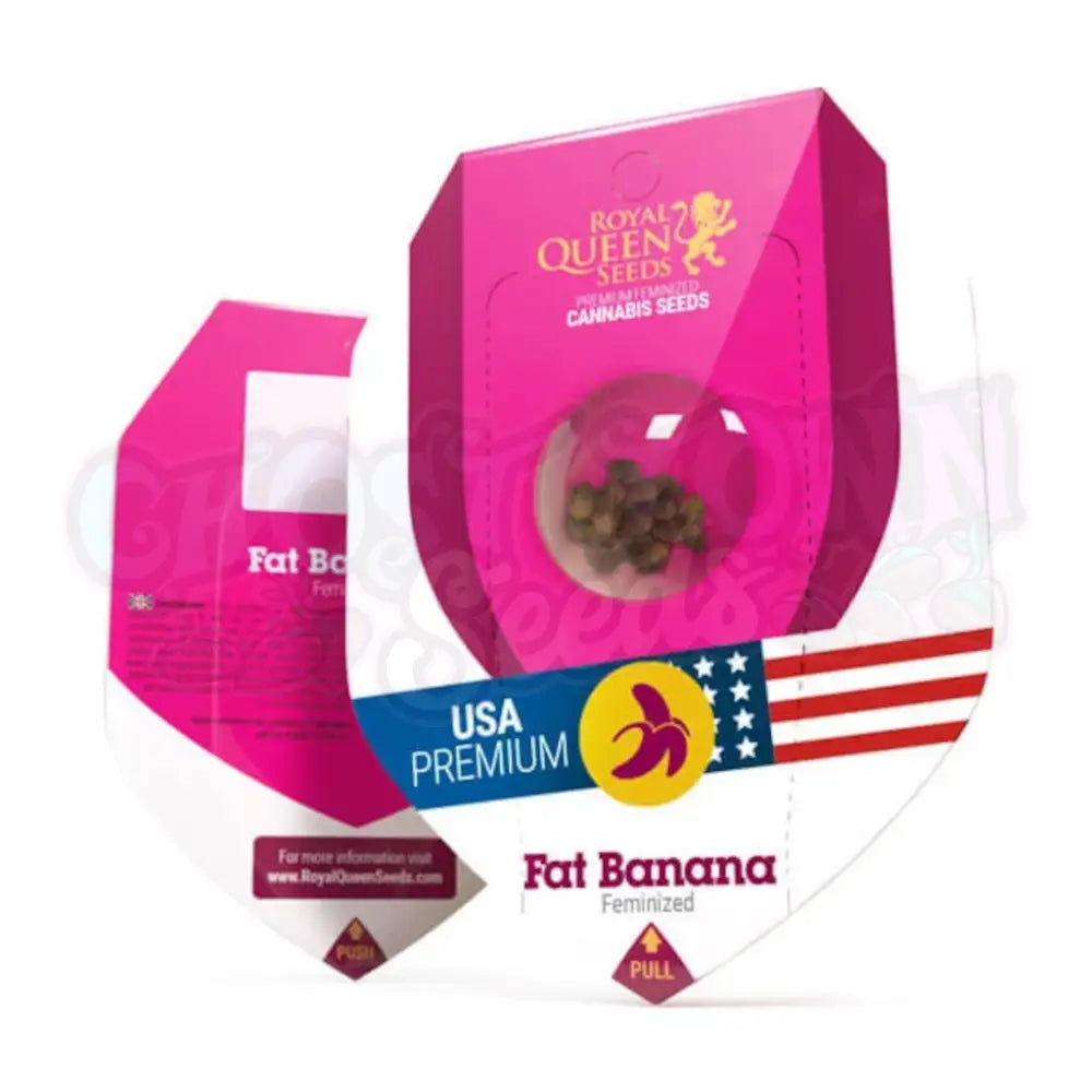 Fat Banana Kannabiksen Siemenet - Royal Queen Seeds