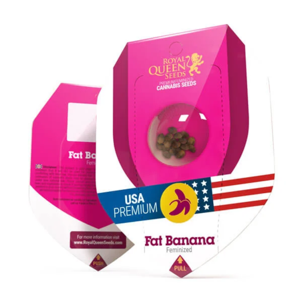 Fat Banana Kannabiksen Siemenet - Royal Queen Seeds