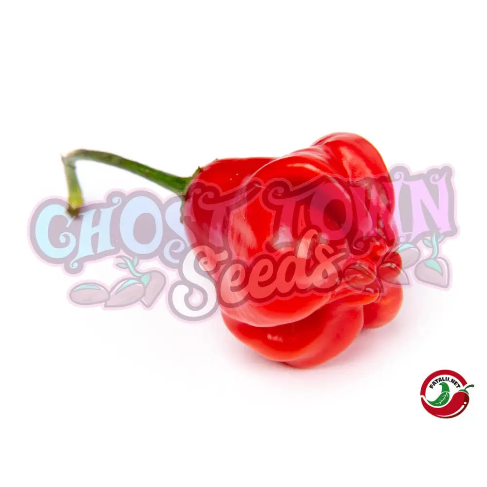 Fatalii - Champion