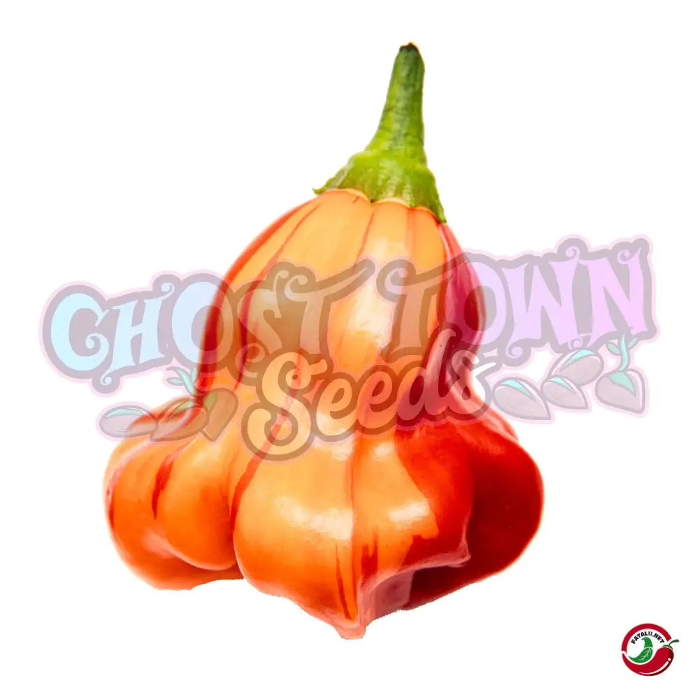 Fatalii - Zebrange chilit