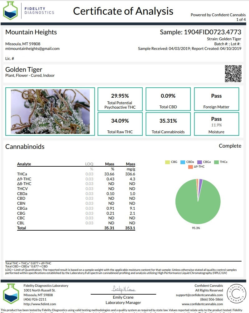 Golden Tiger 3 Fotoperiodi