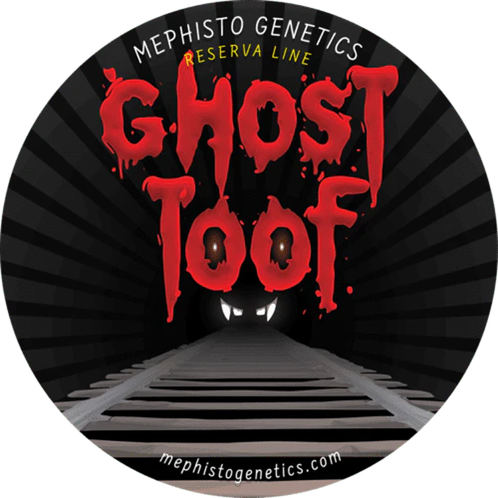 Ghost Toof
