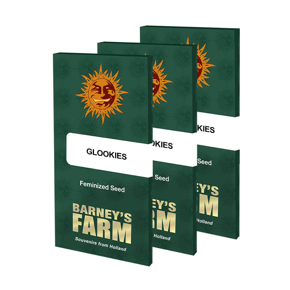 Glookies Kannabiksen Siemenet - Barneys Farm