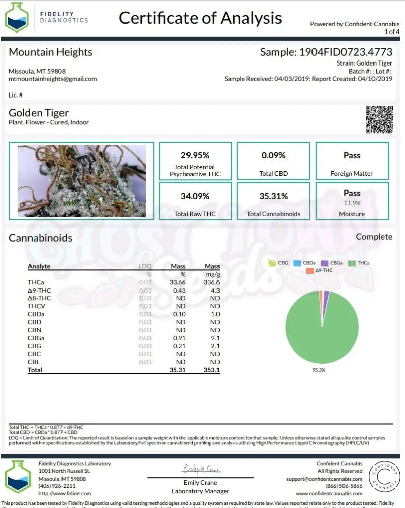 Golden Tiger 3 Fotoperiodi