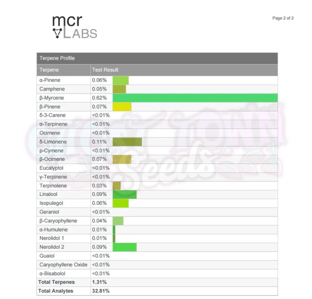 Golden Tiger (Regular)