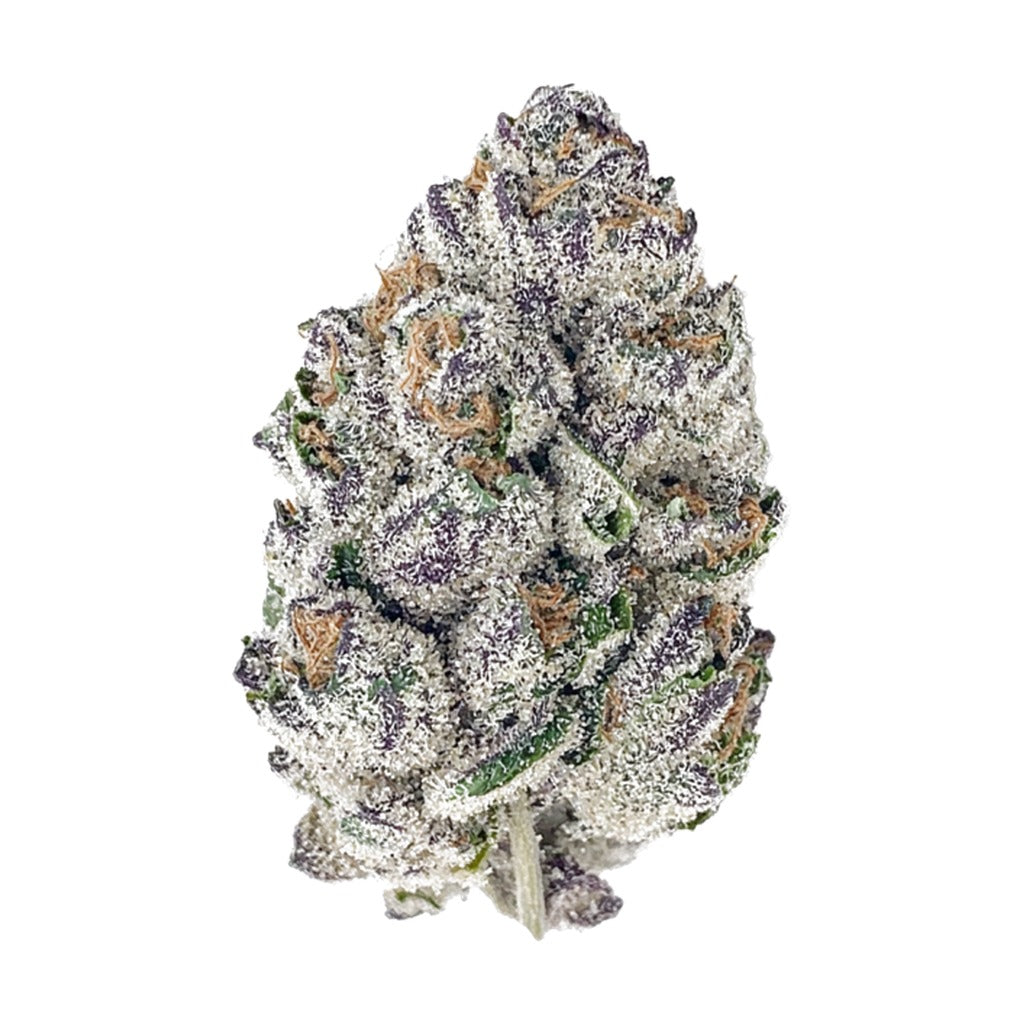 Gorilla Cookies Auto