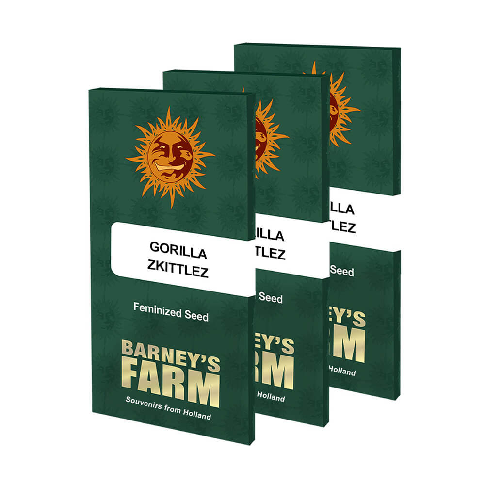 Gorilla Zkittlez Kannabiksen Siemenet - Barneys Farm