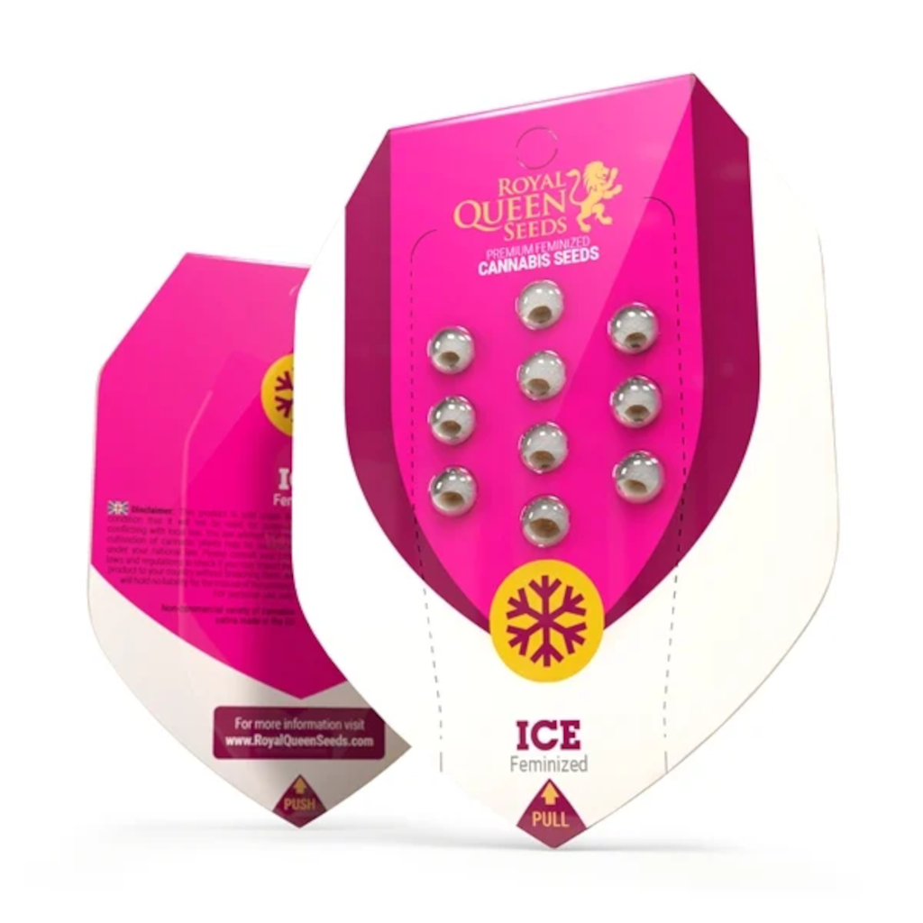 ICE Kannabiksen Siemenet - Royal Queen Seeds