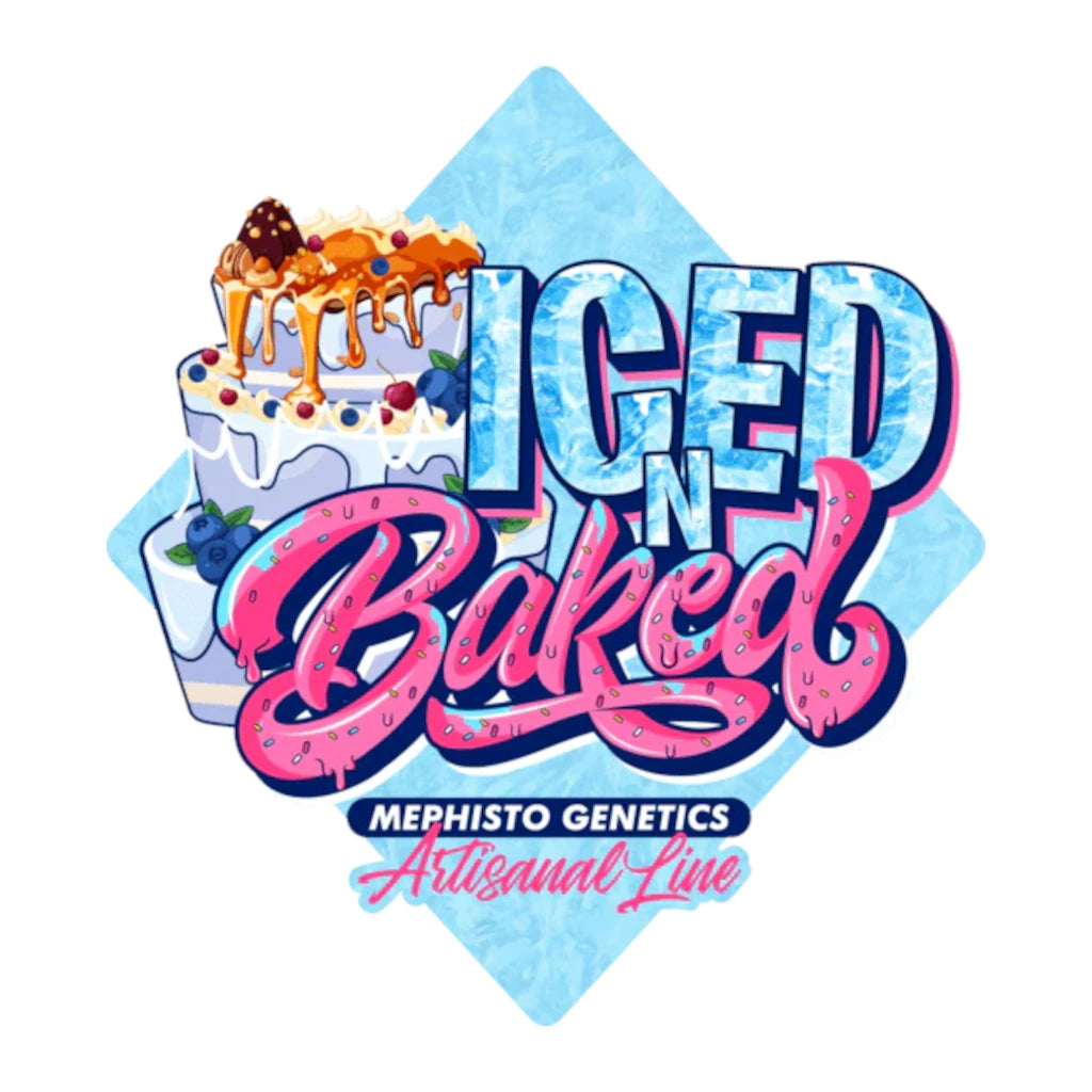 Iced ‘n’ Baked