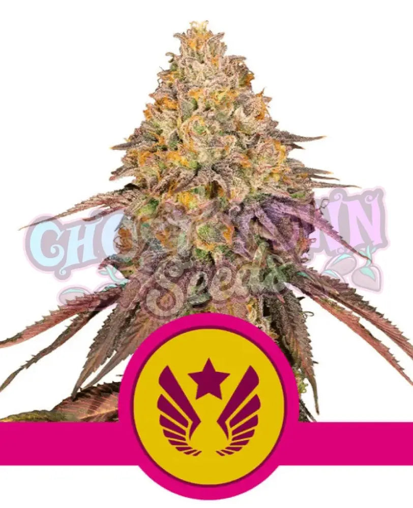 Legendary OG Punch - Ghost Town Seeds